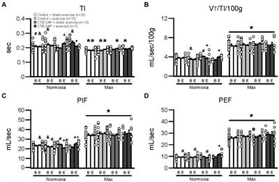 Tongue exercise ameliorates structural and functional upper airway deficits in a rodent model of hypoglossal motor neuron loss